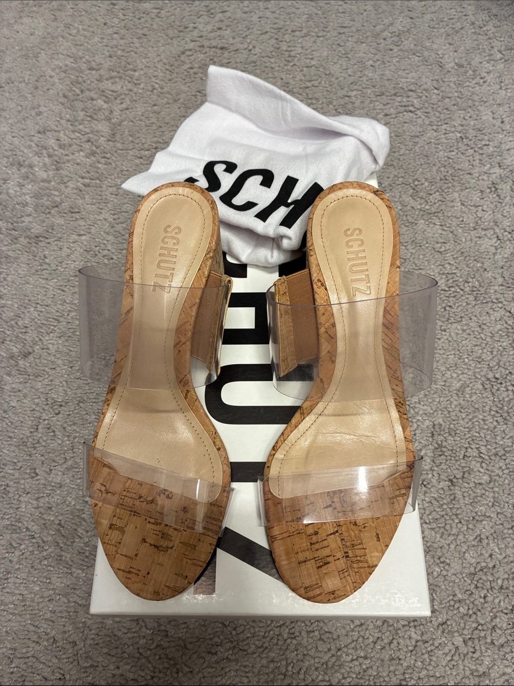 SCHUTZ Victorie Slide Sandal in transparent/natural
